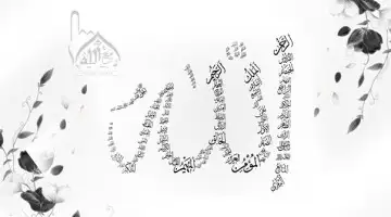 قواعد وتنبيهات في فهم أسماء الله وصفاته