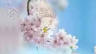 الله اللطيف