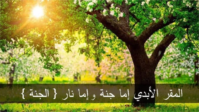 ( المقر الأبدي إما جنة وإما نار  ( الجنة