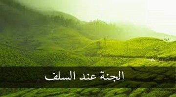 الجنة عند السلف