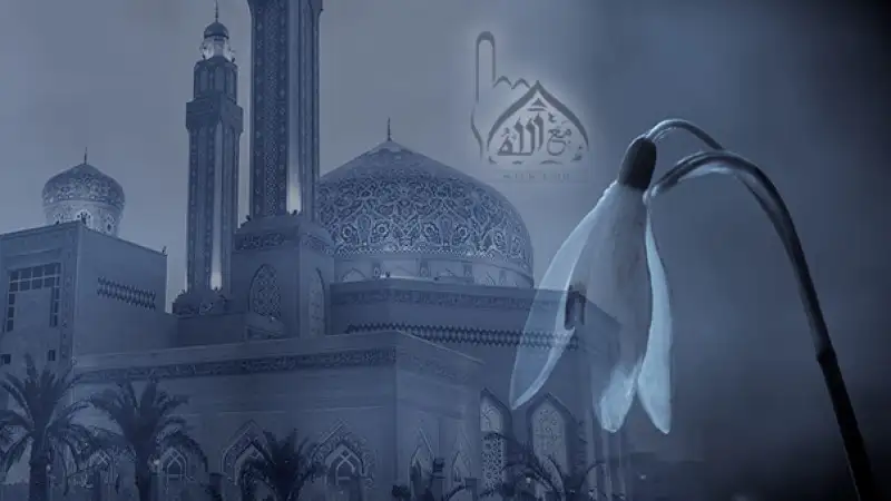 උත්තරීතර අල්ලාහ්