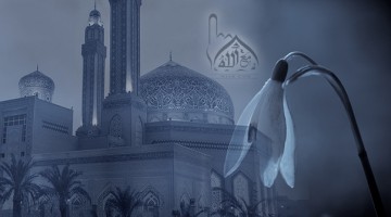 උත්තරීතර අල්ලාහ්