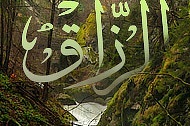 Allah le Grand Pourvoyeur...
