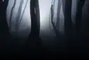 Ketika Iman kepada Allah sirna
